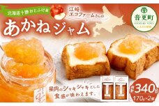[先行受付] 江崎エコファームさんのあかねジャム（りんごジャム）170g×2個【B132】《2025年11月上旬-2026年1月下旬 発送予定》