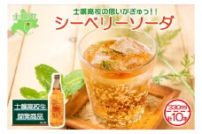 北海道 シーベリーソーダ 330ml×10本 シーベリー サイダー 炭酸飲料 サジー シーバックソーン 沙棘 スーパーフルーツ ミラクルフルーツ お取り寄せ 送料無料 十勝 士幌町【C01】