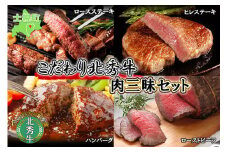 北海道 北秀牛 肉三昧セット ヒレステーキ ロースステーキ ローストビーフ ハンバーグ 4種 総重量1.3kg 牛 肉 ビーフ ステーキ セット 食べ比べ 国産 冷凍 詰め合わせ お取り寄せ 送料無料 十勝 士幌町【T12】