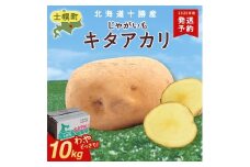 北海道 じゃがいも キタアカリ 10kg 北海道産 十勝産 きたあかり 北あかり ジャガイモ 芋 いも ポテト お取り寄せ まとめ買い 送料無料 十勝 士幌町【V04】