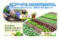 化学肥料・農薬等の添加及び製造工程においても、混入は一切ない安心・安全な土壌改良材です。