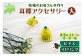 世界に一つだけ♪ カスタマイズできる、「耳標」モチーフのピアス（orイヤリング）です！