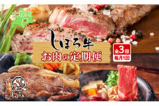 ■定期便■ 北海道 しほろ牛 定期便 全3回 牛肉 サーロイン ステーキ リブロース 肉 牛 赤身肉 国産牛 肉 ビーフ 牛肉 焼肉 冷凍 お取り寄せ 頒布会 送料無料 十勝 士幌町 75000円 【X21】