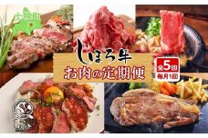 ■定期便■ 北海道 しほろ牛 定期便 全5回 牛肉 サーロイン ステーキ リブロース 切り落とし ローストビーフ 肉 牛 赤身肉 国産牛 肉 ビーフ 牛肉 冷凍 お惣菜 焼肉 頒布会 送料無料 十勝 士幌町【X22】