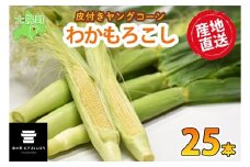 《期間限定》北海道 士幌産 わかもろこし 25本 セット  (2025年7月下旬～発送開始予定)  皮付き 甘い ヤングコーン 十勝産 トウモロコシ とうもろこし 新鮮 野菜 産地直送 産直 お取り寄せ 送料無料 十勝 士幌町【L28】