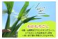 士幌町の短い夏の旬の味覚、どうぞ『生』の美味しさと旬をご堪能下さい。