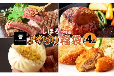  北海道 数量限定 よくばり福袋 4種 しほろ牛 サーロイン ステーキ 行者にんにく ジンギスカン ソーセージ コーンチーズまん メンチカツ 牛肉 肉 惣菜 お惣菜 詰め合わせ セット お取り寄せ 道の駅 ピア21しほろ 送料無料 十勝 士幌町【L902】