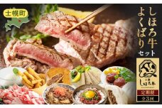  定期便 北海道 よくばりセット 全3回 しほろ牛 牛丼 牛肉まん コンビーフ カムカムステーキ ハンバーグ メンチカツ リオナソーセージ フライドポテト サーロイン 牛肉切り落とし アイスクリーム 総菜 冷凍 詰合せ お取り寄せ 送料無料 十勝 士幌町 50000円【L903】