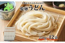北海道産 うどん 250g×12袋 2-3人前 乾麺 干しうどん 麺 めん きたほなみ 小麦使用 小分け 個包装 保存 備蓄 贈り物 ギフト 送料無料 北海道 十勝 士幌町 【N05-2】