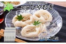 北海道産 ひやむぎ 250g×12袋 2-3人前 乾麺 干しひやむぎ 麺 めん きたほなみ 小麦使用 小分け 個包装 保存 備蓄 贈り物 ギフト 送料無料 北海道 十勝 士幌町 【N06-2】