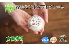 北海道 古田牧場 生 ソフトクリーム 2種 140ml×12個 ミルク 季節限定 牧場 アイスクリーム 牛乳 生乳 スイーツ デザート 詰め合わせ 詰合せ 十勝 士幌町【MB01】
