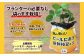 プランターは必要なし！袋のまま栽培できるので、初めての家庭菜園でも安心です。