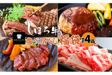 数量限定 食べ尽くし 福袋 4種 しほろ牛 フィレ サーロイン ステーキ 切り落とし ハンバーグ 牛肉 肉 惣菜 お惣菜 詰め合わせ セット お取り寄せ 道の駅 ピア21しほろ 送料無料 北海道 十勝 士幌町【L910】