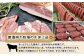 自慢の肉は、首都圏のスーパー等でも販売され「美味しい牛肉」と評価されています。