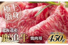 鹿追牛ロース焼肉用（鹿追牛Bセット） 225g×2【 ふるさと納税 人気 おすすめ ランキング 肉 牛肉 牛カルビ 牛ヒレ 牛ロース 牛サーロイン 肉 牛肉 牛レバー 牛ひき肉 牛モモ 牛モツ 北海道 鹿追町 送料無料 】SKA004