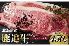 鹿追牛ロースステーキ（鹿追牛Dセット） 225g×2 【 ふるさと納税 人気 おすすめ ランキング 肉 牛肉 牛ロース 牛ステーキ 牛ひき肉 牛サーロイン 肉 牛肉 牛ヒレ 牛すき焼き 北海道 鹿追町 送料無料 】 SKA008