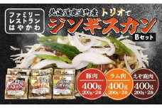 「はやかわ」のトリオでジンギスカンB  【 ふるさと納税 人気 おすすめ ランキング ジンギスカン 豚ジンギスカン ラムジンギスカン えぞ鹿ジンギスカン じんぎすかん ラム肉ジンギスカン 北海道 鹿追町 送料無料 】 SKF001