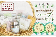 「はやかわ」自家製無農薬栽培ハーブのあれこれセット 【 ふるさと納税 人気 おすすめ ランキング ハーブ ハーブティー ハーブソルト 薬草 香草 ハーブティーセット ハーブソルトセット 北海道 鹿追町 送料無料 】 SKF002