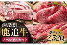 鹿追牛　スペシャルセット 2,520g【ふるさと納税 人気 おすすめ ランキング 牛 肉 牛肉 牛ヒレ 牛すき焼き ビーフ ロース ステーキ すき焼き 焼肉 大容量 ミート 北海道 鹿追町 送料無料】  SKA018