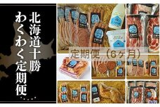 北海道十勝わくわく定期便（6ケ月） 【 ふるさと納税 人気 おすすめ ランキング 定期便 ソーセージ ベーコン ハム ポークソーセージ ベーコンブロック ボンレスハム 北海道 鹿追町 送料無料 】 SKD013