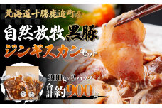鹿追産 自然放牧黒豚ジンギスカンセット 【 ふるさと納税 人気 おすすめ ランキング 黒豚 黒豚肉 豚肉 肉 豚 ジンギスカン 豚ジンギスカン 黒豚ジンギスカン 北海道 鹿追町 送料無料 】 SKN002