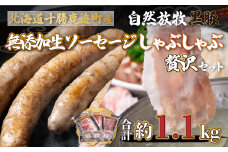 鹿追産 自然放牧黒豚しゃぶしゃぶ＆無添加生ソーセージセット 【 ふるさと納税 人気 おすすめ ランキング 黒豚 豚 黒豚肉 豚肉 ポーク しゃぶしゃぶ 生ソーセージ 豚しゃぶ 北海道 鹿追町 送料無料 】 SKN005