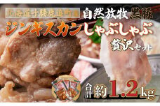 鹿追産 自然放牧黒豚しゃぶしゃぶ＆豚ジンギスカンの贅沢セット 【 ふるさと納税 人気 おすすめ ランキング 黒豚 豚 黒豚肉 豚肉 ポーク しゃぶしゃぶ ジンギスカン 豚しゃぶ 北海道 鹿追町 送料無料 】 SKN006