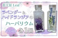 ラベンダーとハイドランジアのハーバリウム（パープル） 【 ふるさと納税 人気 おすすめ ランキング ハーバリウム ラベンダー ハイドランジア インテリア おしゃれ 小物 北海道 鹿追町 送料無料 】 SKR003
