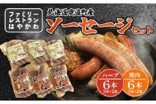 ソーセージセット 【 ふるさと納税 人気 おすすめ ランキング ソーセージ ソーセージセット ハーブソーセージ えぞ鹿ソーセージ えぞ鹿肉ソーセージ 北海道 鹿追町 送料無料 】 SKF008