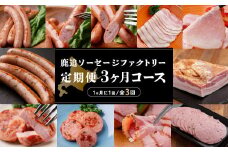 鹿追ソーセージファクトリー（定期便３ヶ月コース ）【 ふるさと納税 人気 おすすめ ランキング 定期便 ソーセージ ベーコン ハム ポークソーセージ ベーコンブロック ボンレスハム 北海道 鹿追町 送料無料 】 SKD015