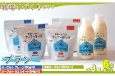 牧場直送ギフト【 ブラン 】 【 ふるさと納税 人気 おすすめ ランキング ヨーグルト プレーンヨーグルト セミスィートヨーグルト のむヨーグルト ミルクコーヒー 北海道 鹿追町 送料無料 】 SKB017