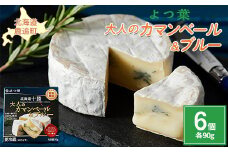 北海道十勝産 よつ葉大人のカマンベール＆ブルー6個 【 ふるさと納税 人気 おすすめ ランキング よつ葉 カマンベール カマンベールチーズ 加工食品 乳製品 チーズ 贈答 プレゼント 贈り物 ギフト セット 北海道産 十勝産 北海道 鹿追町 送料無料 】 SKA033