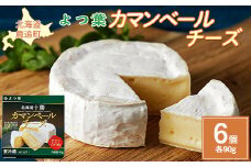 北海道十勝産 よつ葉カマンベールチーズ6個 【 ふるさと納税 人気 おすすめ ランキング よつ葉 カマンベール カマンベールチーズ 加工食品 乳製品 チーズ 贈答 プレゼント 贈り物 ギフト セット 北海道産 十勝産 北海道 鹿追町 送料無料 】 SKA032