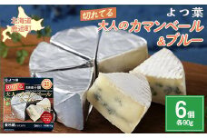 北海道十勝産 よつ葉切れてる大人のカマンベール＆ブルー6個 【 ふるさと納税 人気 おすすめ ランキング よつ葉 カマンベール カマンベールチーズ 切れてる 加工食品 乳製品 チーズ 贈答 プレゼント 贈り物 ギフト セット 北海道産 十勝産 北海道 鹿追町 送料無料 】 SKA034