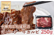 【十勝髙田牧場物語】ジャージー牛カルビ　(250g×1個) 【 ふるさと納税 人気 おすすめ ランキング 牛肉 肉 カルビ ジャージー 希少 加工品 大容量 北海道 鹿追町 送料無料 】 SKM021