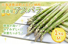 鹿追産アスパラ（1kg）M 【 ふるさと納税 人気 おすすめ ランキング アスパラ アスパラガス あすぱら 野菜 旬 北海道産 北海道 鹿追町 送料無料 】 SKA037