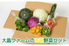 Z-1302　大晶ファームの有機野菜セット