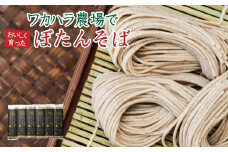 L-1502 ワカハラ農場でおいしく育ったぼたんそば《太麺》6束