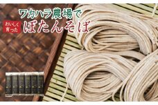 L-1502 ワカハラ農場でおいしく育ったぼたんそば《太麺》6束