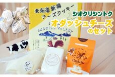 N-1601【シオクリ シントク】オダッシュ　チーズの製品セット