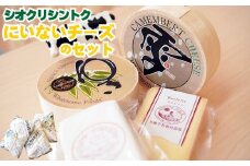N-3005【シオクリ シントク】にいない　チーズのセット