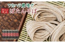 L-1503 ワカハラ農場でおいしく育ったぼたんそば《細麺》6束