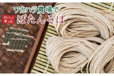 L-5002 ワカハラ農場でおいしく育ったぼたんそば《太麺》 20束
