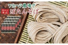 L-5003 ワカハラ農場でおいしく育ったぼたんそば《細麺》 20束