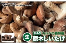 Y-2001 【訳あり】カルシの森特選 原木しいたけ（生）約２kg
