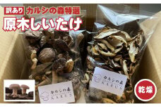 Y-1006 【訳あり】カルシの森特選 原木しいたけ（乾燥）約160g