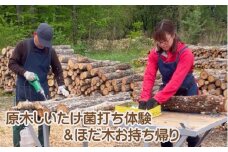 AL-5001 原木シイタケの菌打ち体験＆自分で菌打ちしたホダ木