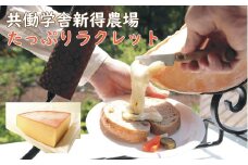 F-2601 共働学舎新得農場チーズ たっぷりラクレット1,000g