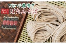 L-1014 ワカハラ農場でおいしく育ったぼたんそば《細麺》4束