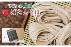 L-1013 ワカハラ農場でおいしく育ったぼたんそば《太麺》4束
